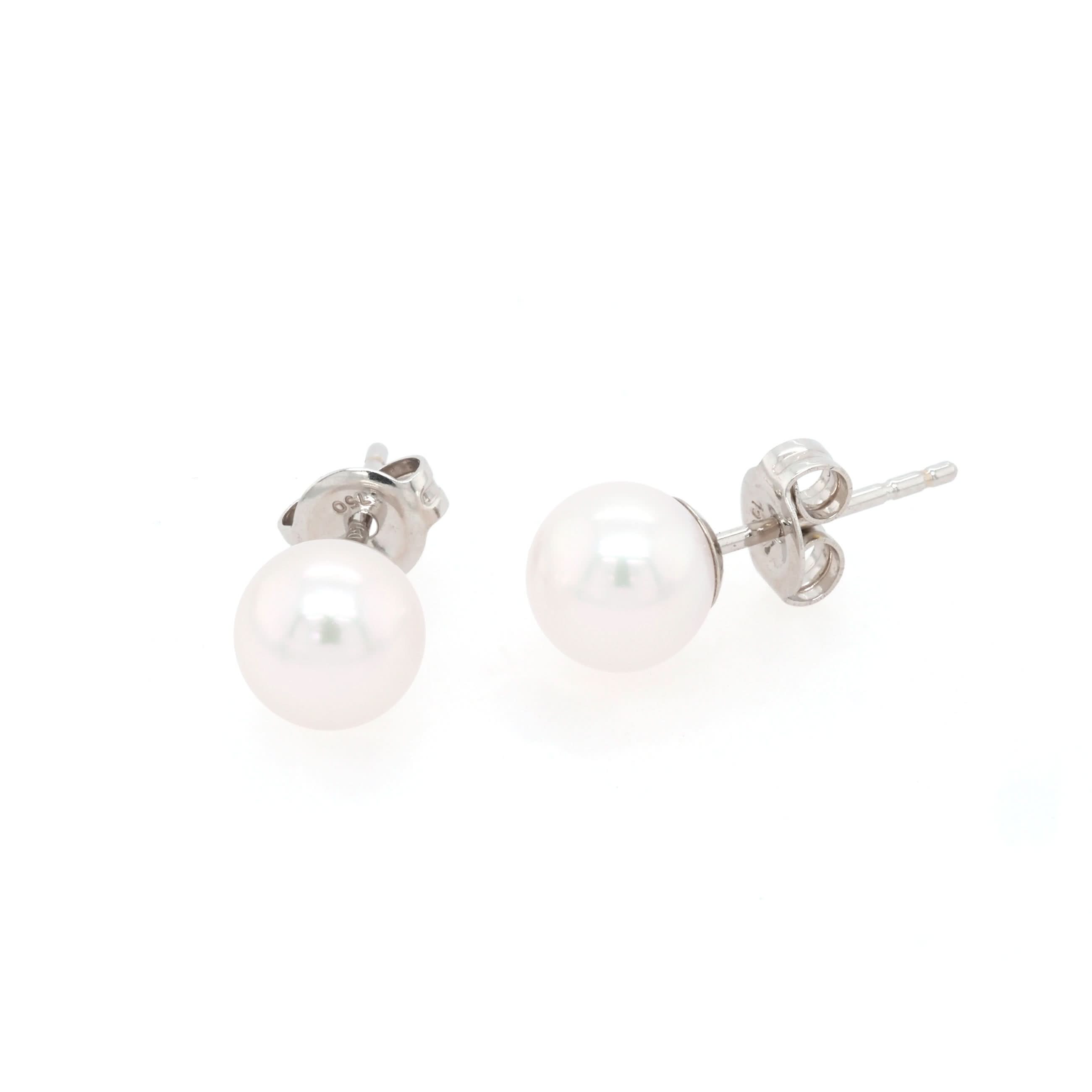 Ogden of Harrogate Jewellery 18ct White Gold 6mm Akoya Pearl Studs