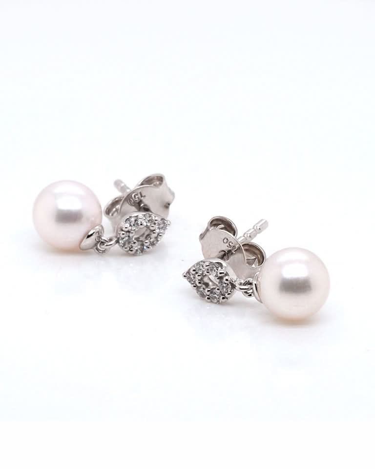 Ogden of Harrogate Jewellery 18ct White Gold Akoya Pearl and Diamond Stud Earrings