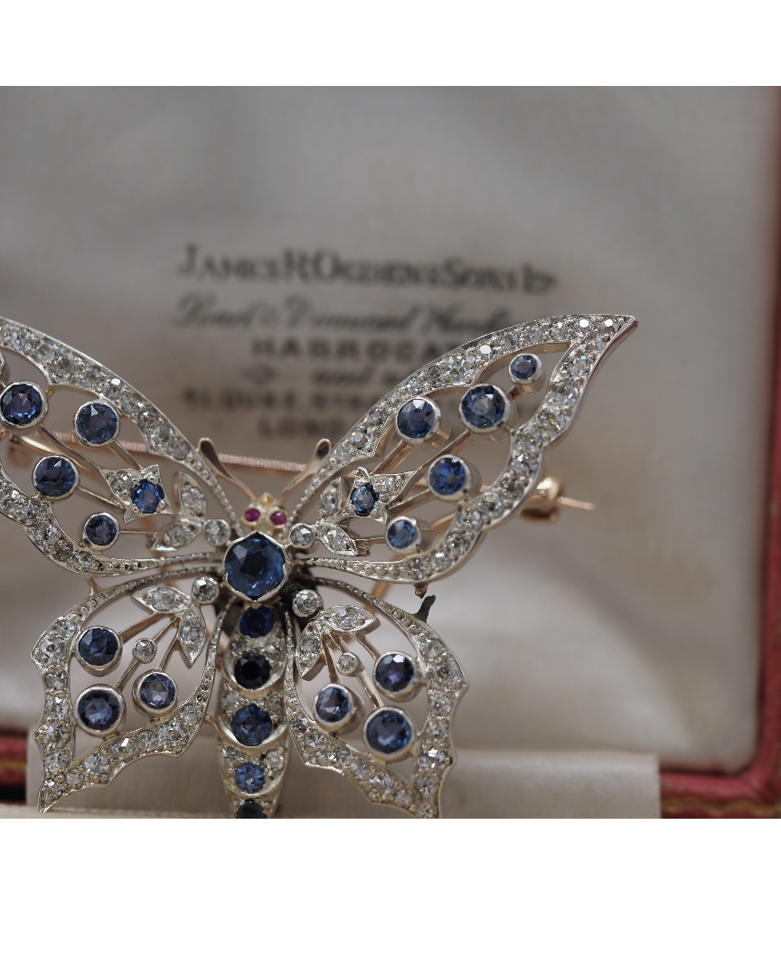 Ogden of Harrogate Jewellery Incredible Saphire and Diamond Butterfly Brooch Circa 1880