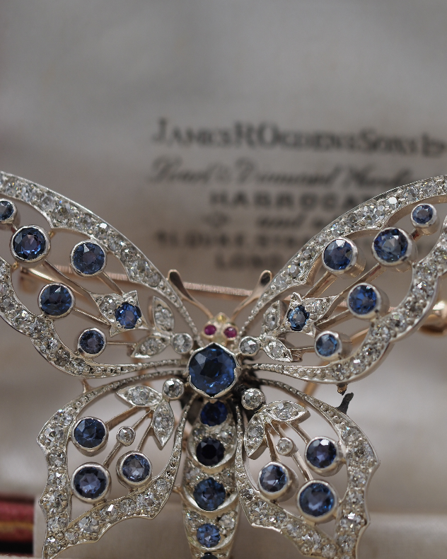 Ogden of Harrogate Jewellery Incredible Saphire and Diamond Butterfly Brooch Circa 1880