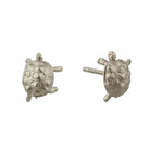 Alex Monroe Jewellery Silver Alex Monroe Racing Tortoise Stud Earrings