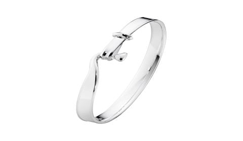 Silver Anniversary (25th)