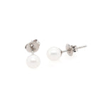 Ogden of Harrogate Jewellery 18ct White Gold 4.5mm Akoya Pearl Studs