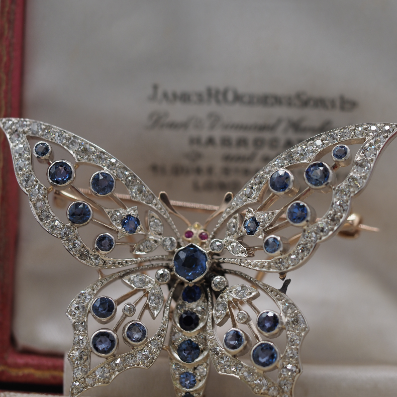 Ogden of Harrogate Jewellery Incredible Saphire and Diamond Butterfly Brooch Circa 1880