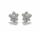 Ogden of Harrogate Jewellery Platinum Diamond 3.80ct Pave Earrings c.1950