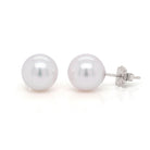 Ogden of Harrogate Jewellery 18ct White Gold Akoya Cultured Pearl Stud Earrings, 9x9.5mm